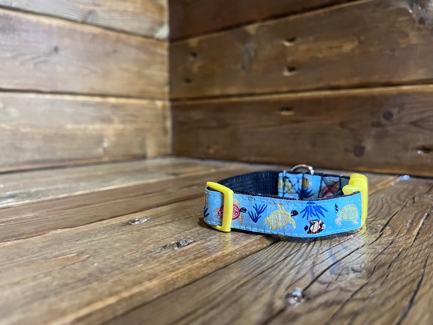 Collier à clip - Tortue XS/S