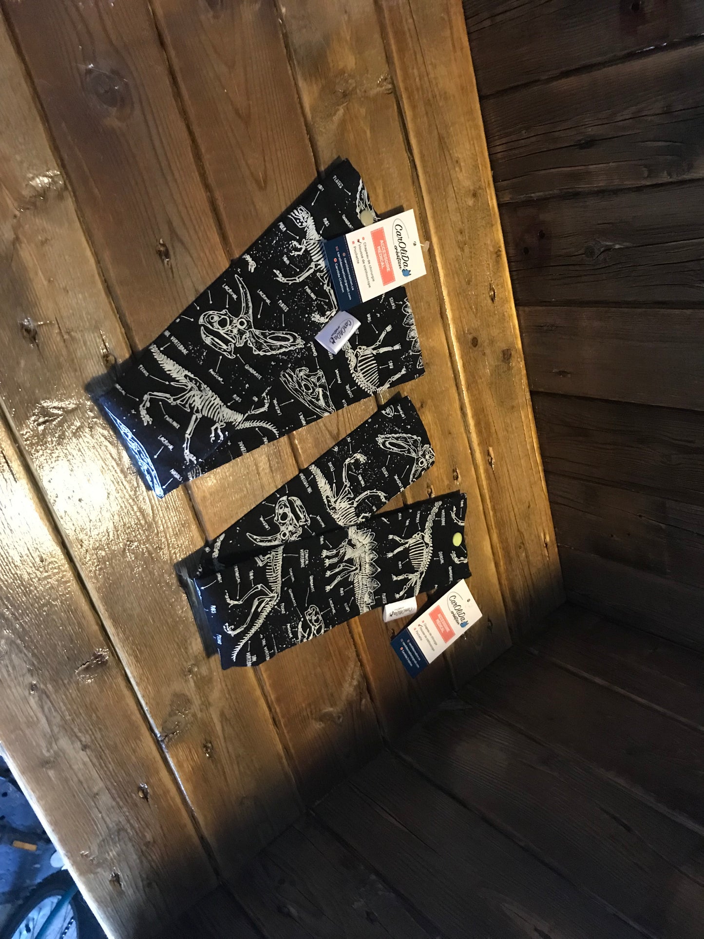 Housse stéthoscope Dinosaure