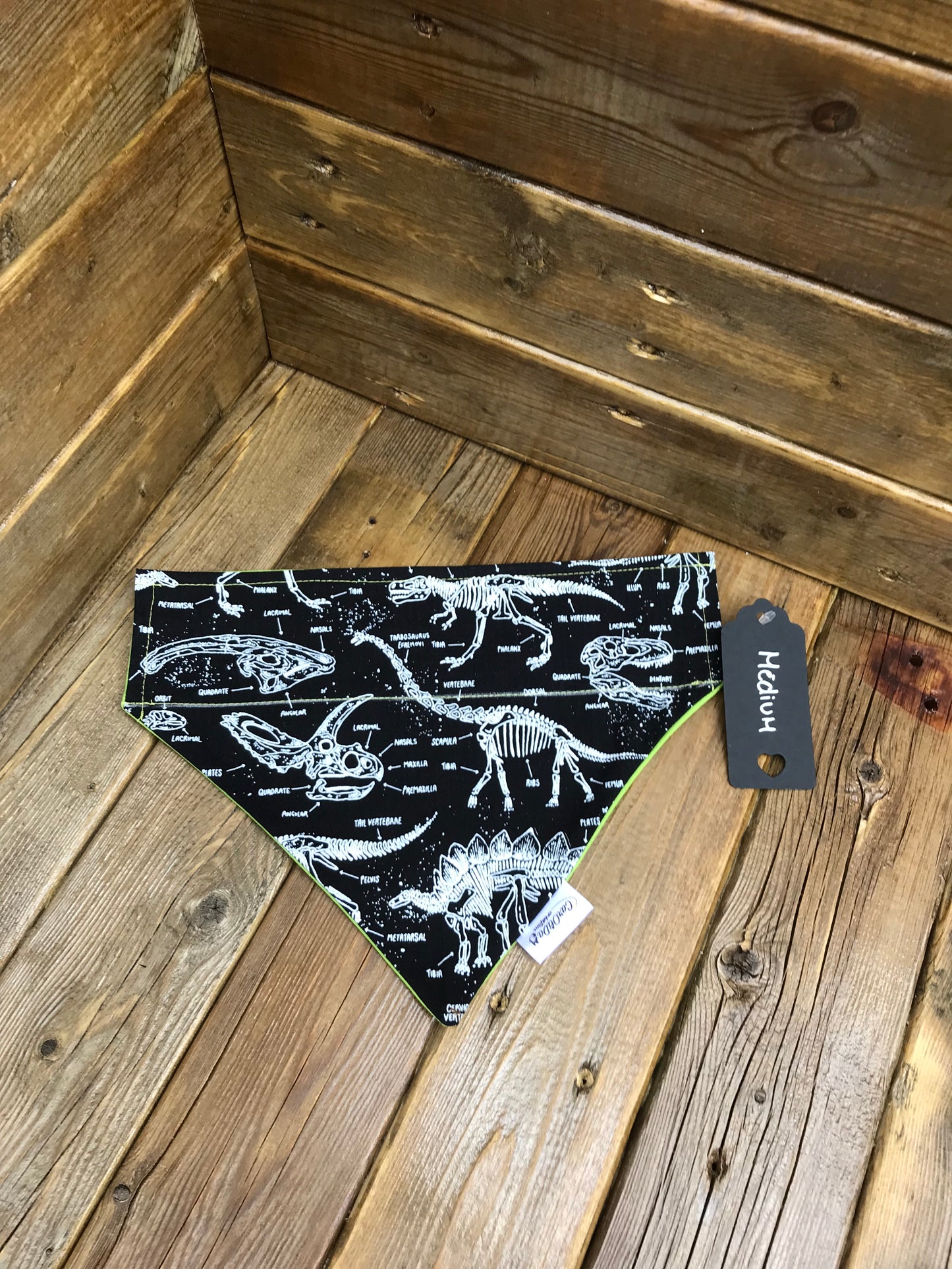 Bandana pour collier réversible-Dinosaure