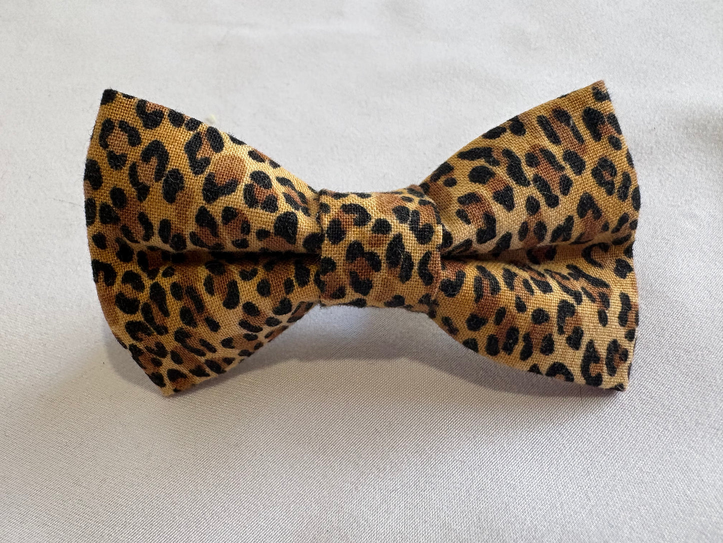 Boucle Petite