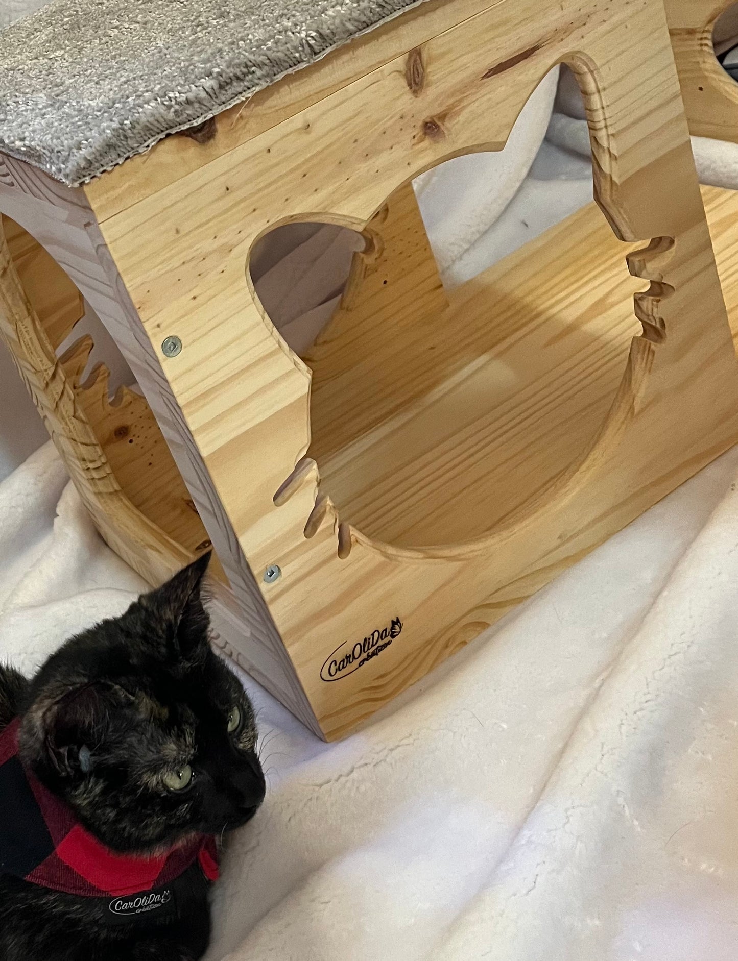 Maison murale pour chat