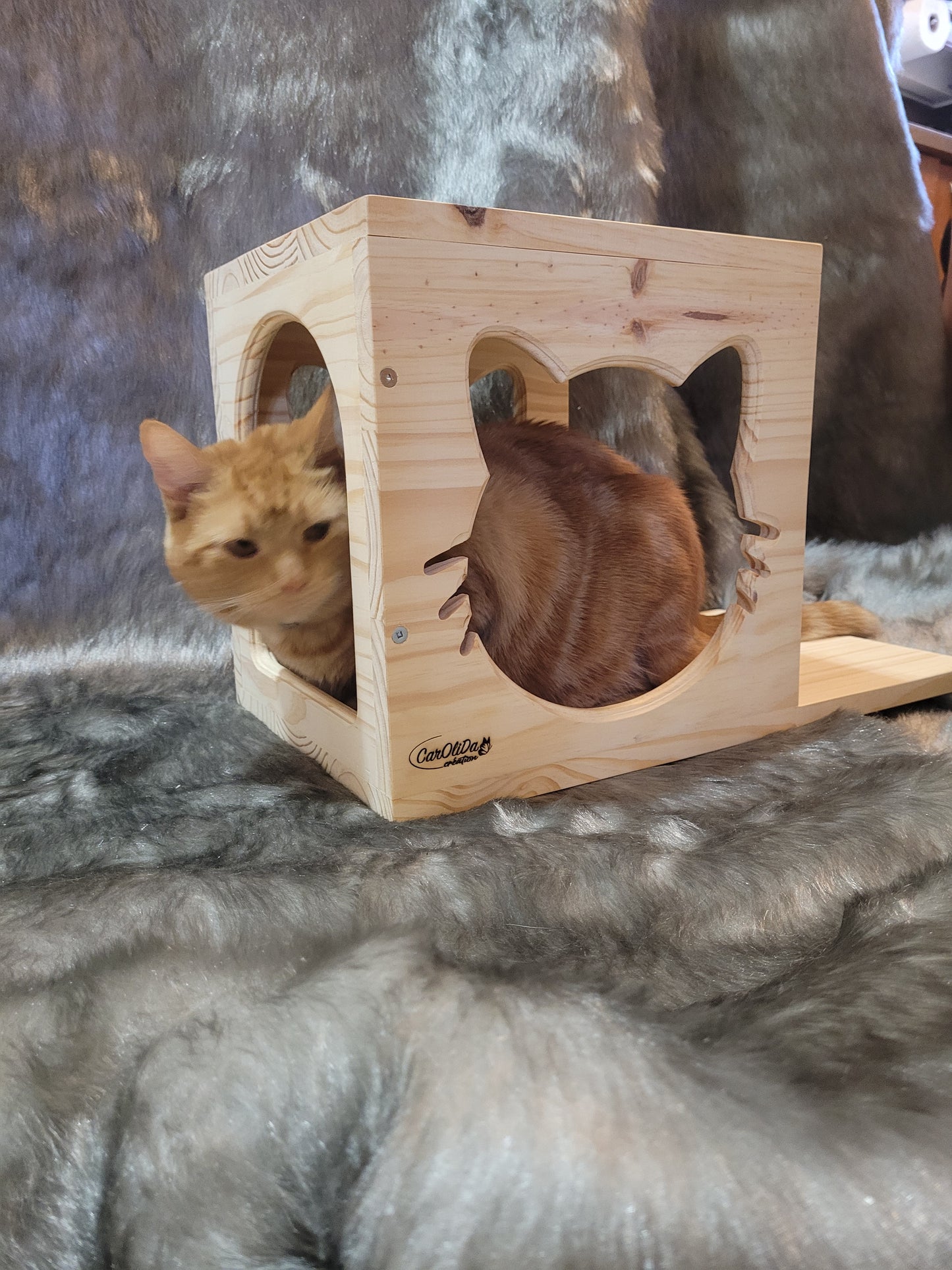 Maison murale pour chat